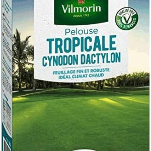 Vilmorin 4309012 Тропическа морава Cynodon Dactylon, Зелена, 500 g