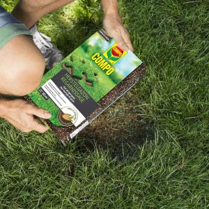 COMPO Lawn Seeds Restoration Lawn, за всеки тип тревна площ, бързо покълване: първите стръкчета трева след 5 дни, зелено оцветени срещу щети от птици, 50 m², 1 kg